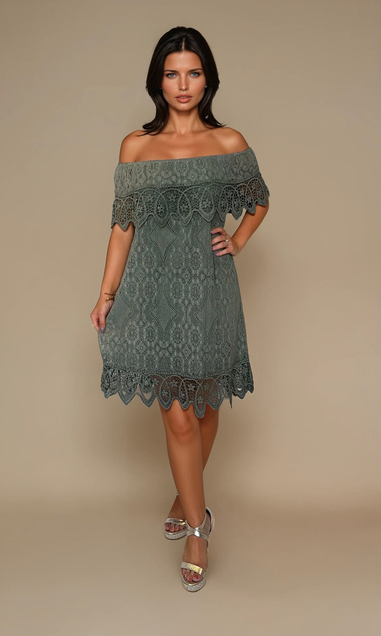 Saskia lace bardot Dress