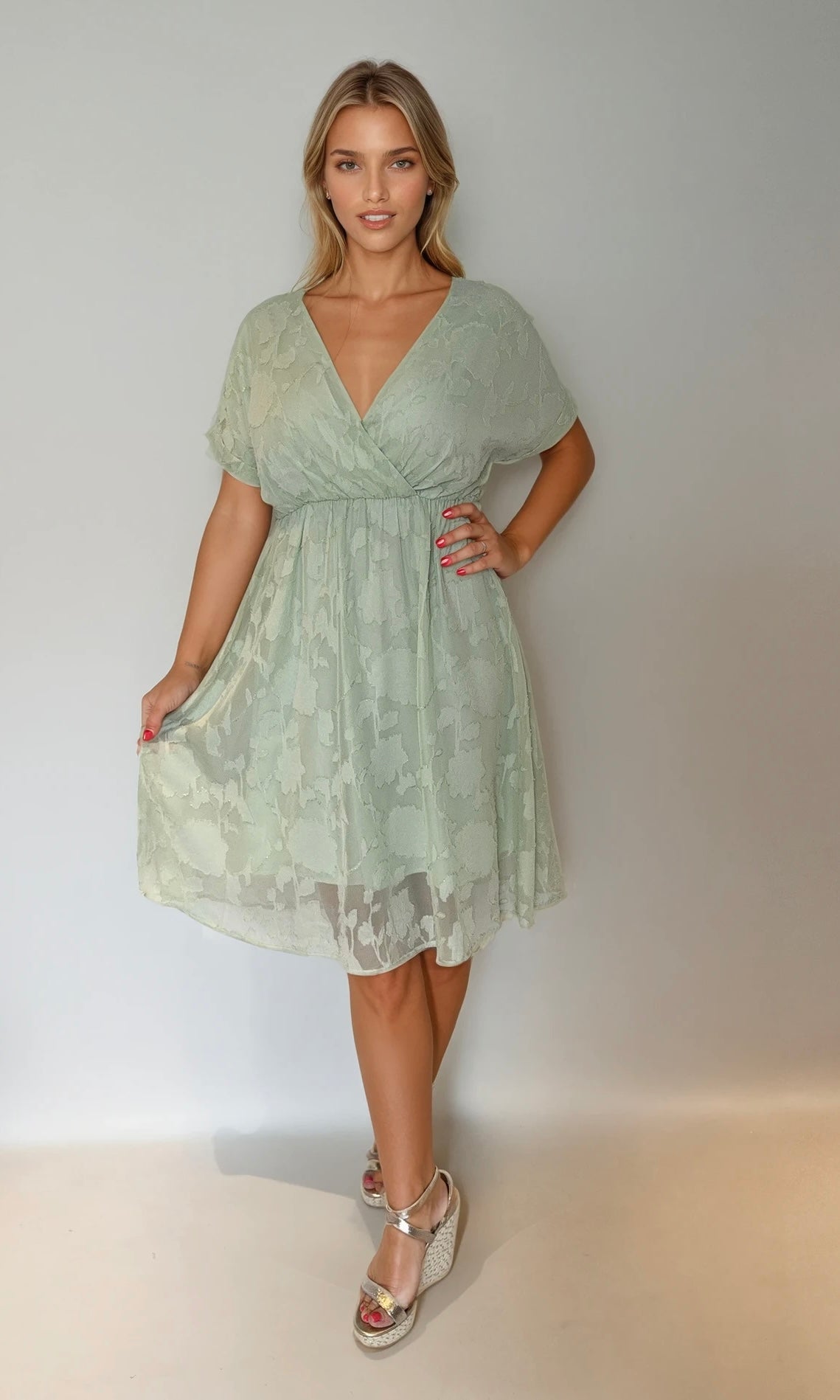 Sofia Embroidered Chiffon Dress