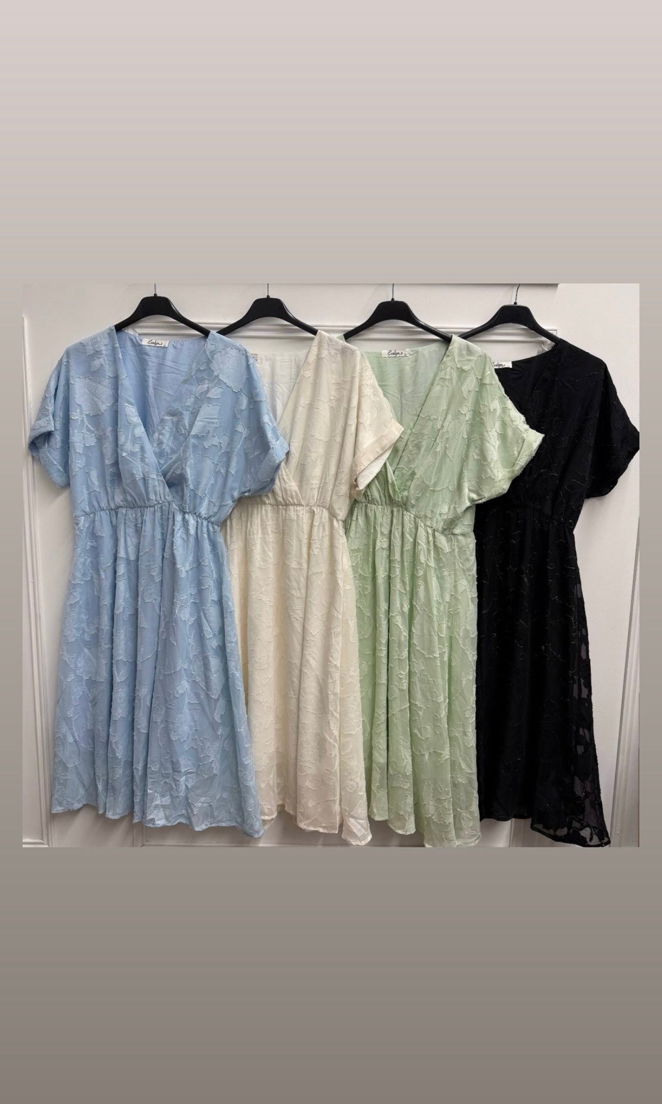 Sofia Embroidered Chiffon Dress