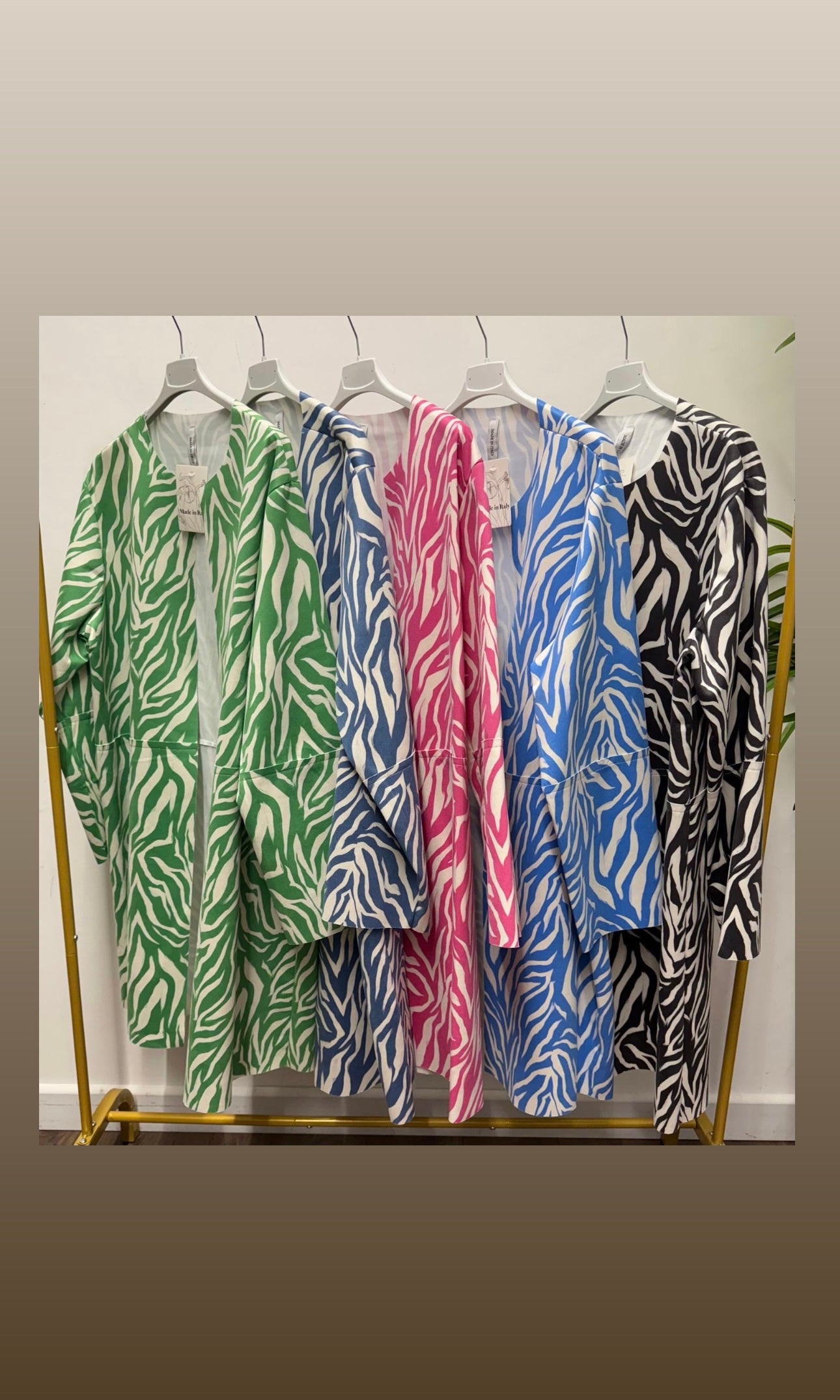 Louisa Zebra Jacket